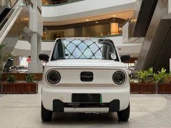 Geely Panda Mini 200km Endurance Edition - ფოტო 2