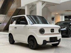 Geely Panda Mini 200km Endurance Edition - ფოტო 3
