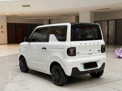 Geely Panda Mini 200km Endurance Edition - ფოტო 6