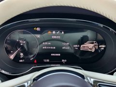 Bentley Bentayga 4.0T V8 - ფოტო 14