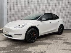 Tesla Model Y Long Range All-Wheel Drive - ფოტო 1
