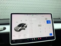 Tesla Model Y Long Range All-Wheel Drive - ფოტო 17