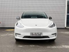 Tesla Model Y Long Range All-Wheel Drive - ფოტო 2
