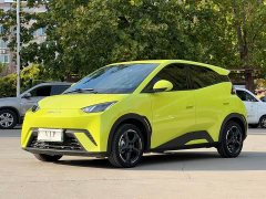 BYD Seagull Freedom Edition - ფოტო 1