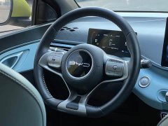 BYD Seagull Freedom Edition - ფოტო 19