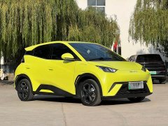 BYD Seagull Freedom Edition - ფოტო 3