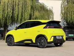 BYD Seagull Freedom Edition - ფოტო 4