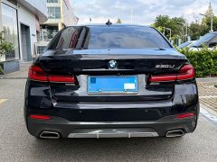BMW 5 Series 530Li Premier M Sport Package - ფოტო 19