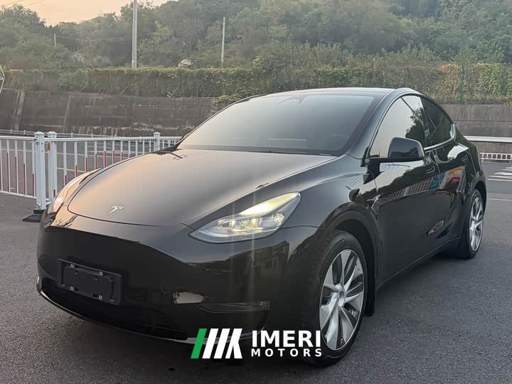 Tesla Model Y Rear-Wheel Drive