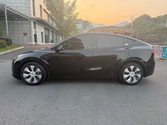 Tesla Model Y Rear-Wheel Drive - ფოტო 16