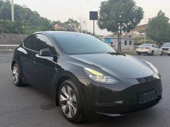 Tesla Model Y Rear-Wheel Drive - ფოტო 3