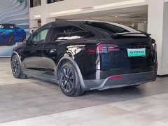 Tesla Model X Dual Motor All-Wheel Drive - ფოტო 7