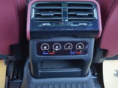 BMW 5 Series Facelift 530Li Premier M Sport Package - ფოტო 10