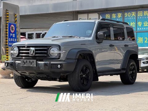 2021 Tank 300 Off-Road Edition 2.0T Conqueror - ავტომობილი ჩინეთიდან