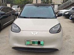 Wuling Binguo 333km Joy Edition - ფოტო 2