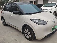 Wuling Binguo 333km Joy Edition - ფოტო 3