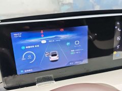 Wuling Binguo 333km Joy Edition - ფოტო 8