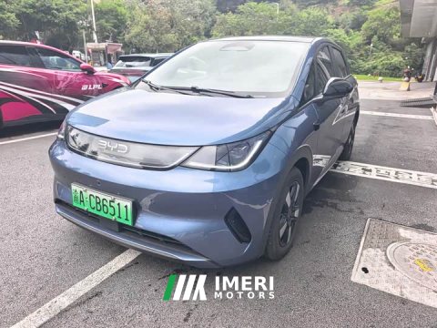 2026 BYD Dolphin 2025 Smart Drive 410km Fashion Edition - ავტომობილი ჩინეთიდან