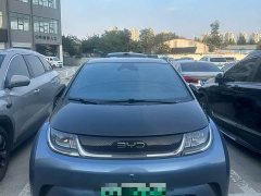BYD Dolphin 520km Knight Edition - ფოტო 2
