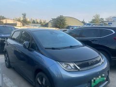 BYD Dolphin 520km Knight Edition - ფოტო 3