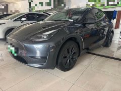 Tesla Model Y 2024 Rear-Wheel Drive - ფოტო 1