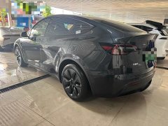 Tesla Model Y 2024 Rear-Wheel Drive - ფოტო 10