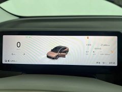 Leapmotor B01 650 Pleasure Edition - ფოტო 5