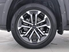 Haval Big Dog PLUS 2023 2.0T Two-Wheel Drive Trendy Wilderness Edition Plus - ფოტო 17