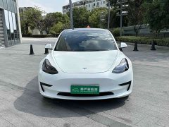 Tesla Model 3 Rear-Wheel Drive - ფოტო 2