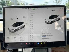 Tesla Model 3 Rear-Wheel Drive - ფოტო 4