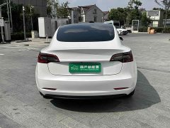 Tesla Model 3 Rear-Wheel Drive - ფოტო 8