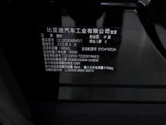Denza BYD Denza N9 Flagship - ფოტო 5