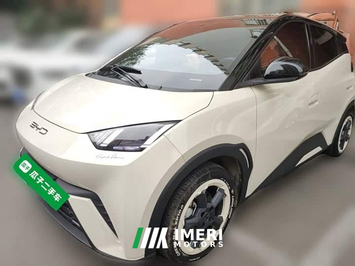 BYD Seagull 2023 Freedom Edition - ავტომობილი ჩინეთიდან