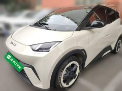 BYD Seagull 2023 Freedom Edition - ფოტო 1