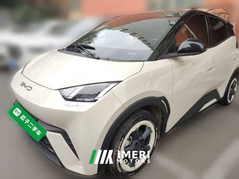 2024 BYD Seagull 2023 Freedom Edition - ავტომობილი ჩინეთიდან