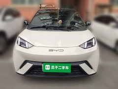 BYD Seagull 2023 Freedom Edition - ფოტო 2
