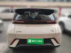 BYD Seagull 2023 Freedom Edition - ფოტო 3