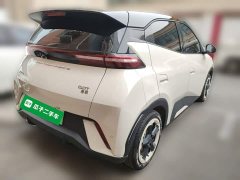 BYD Seagull 2023 Freedom Edition - ფოტო 4