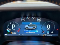 Ford Mustang 2024 2.3T Wilderness - ფოტო 14