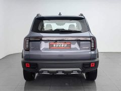 Great Wall Dachshund 2026 1.5T DCT Border Collie Edition - ფოტო 4