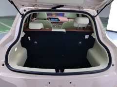 ORA Good Cat 401km Luxury - ფოტო 4