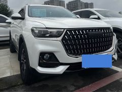 Haval H6 National Trend Edition 1.5T Automatic Urban Version - ფოტო 1