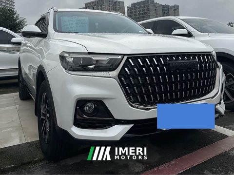 2023 Haval H6 National Trend Edition 1.5T Automatic Urban Version - ავტომობილი ჩინეთიდან