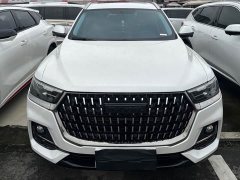 Haval H6 National Trend Edition 1.5T Automatic Urban Version - ფოტო 2
