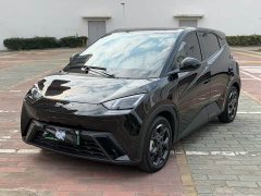 BYD Seagull Glory Edition 305km Freedom Version - ფოტო 1