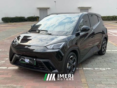 2024 BYD Seagull Glory Edition 305km Freedom Version - ავტომობილი ჩინეთიდან