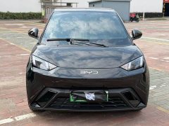 BYD Seagull Glory Edition 305km Freedom Version - ფოტო 2
