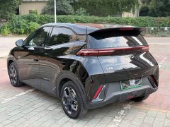 BYD Seagull Glory Edition 305km Freedom Version - ფოტო 7