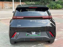 BYD Seagull Glory Edition 305km Freedom Version - ფოტო 8