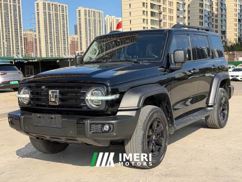 2024 Tank 300 2.0T Conqueror - ავტომობილი ჩინეთიდან